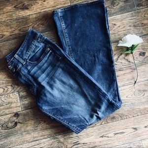 American Eagle Artist Flare Jean